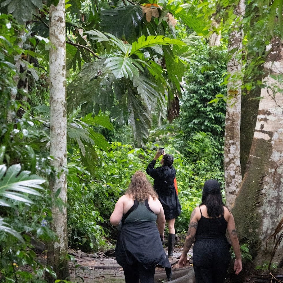 Iquitos: Amazon Jungle