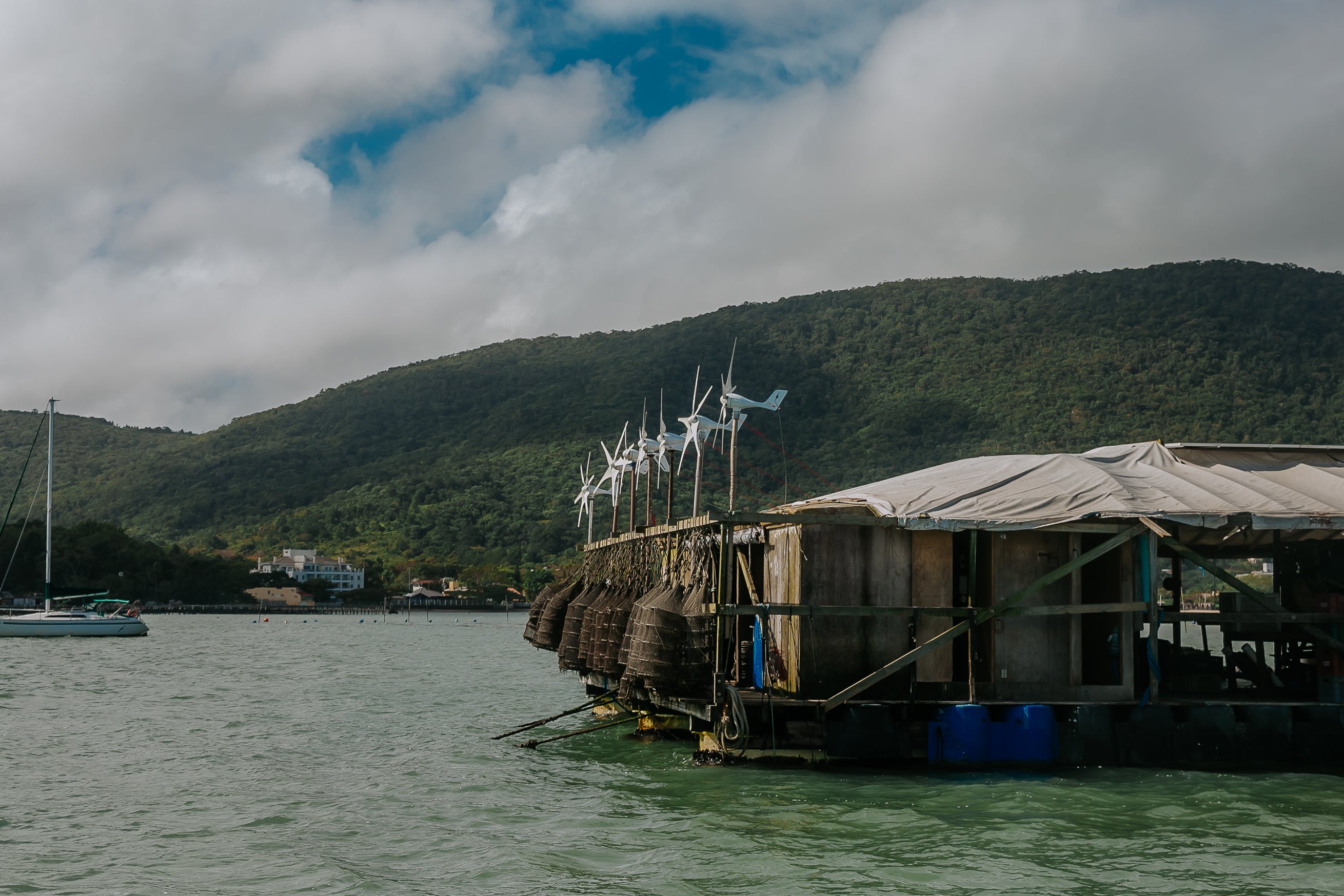 Oyster Farm Visit and Tasting