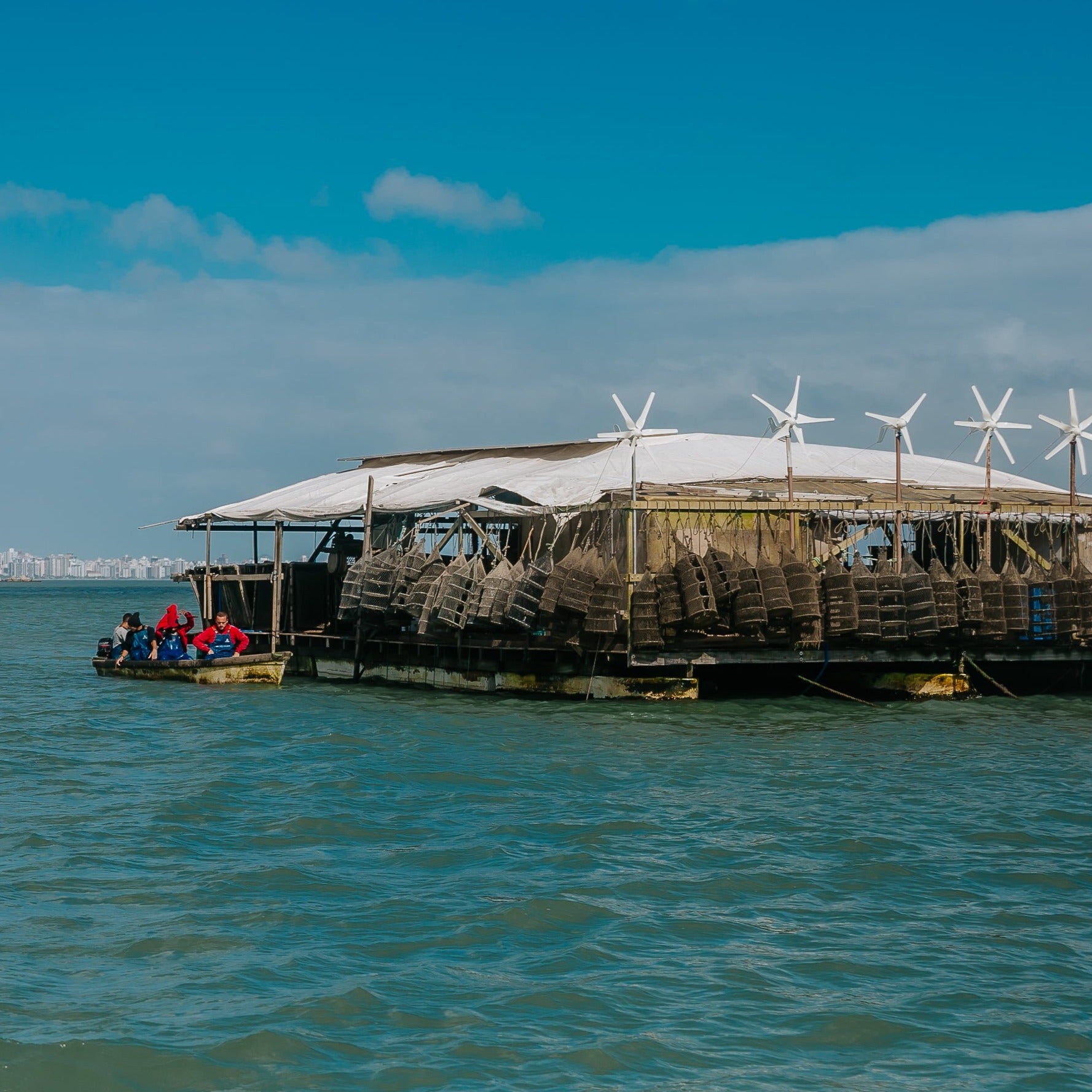 Oyster Farm Visit and Tasting