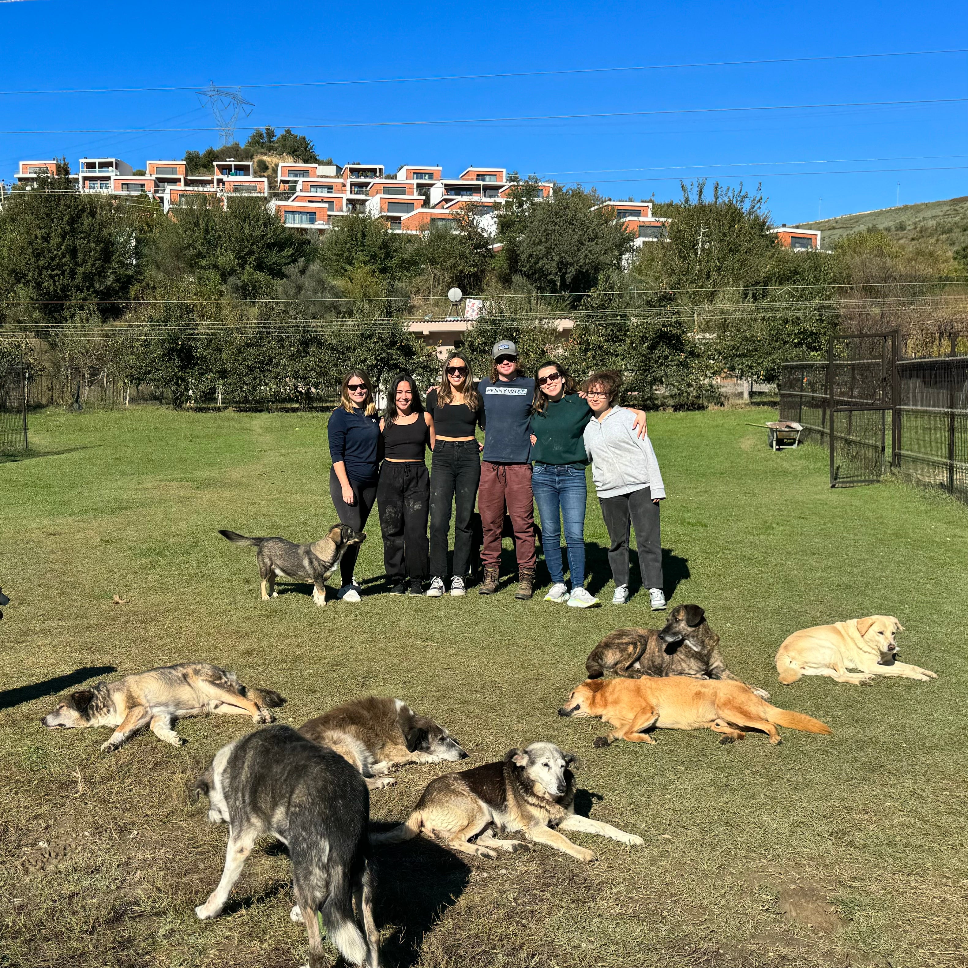 Positive Impact: Animal Rescue Albania