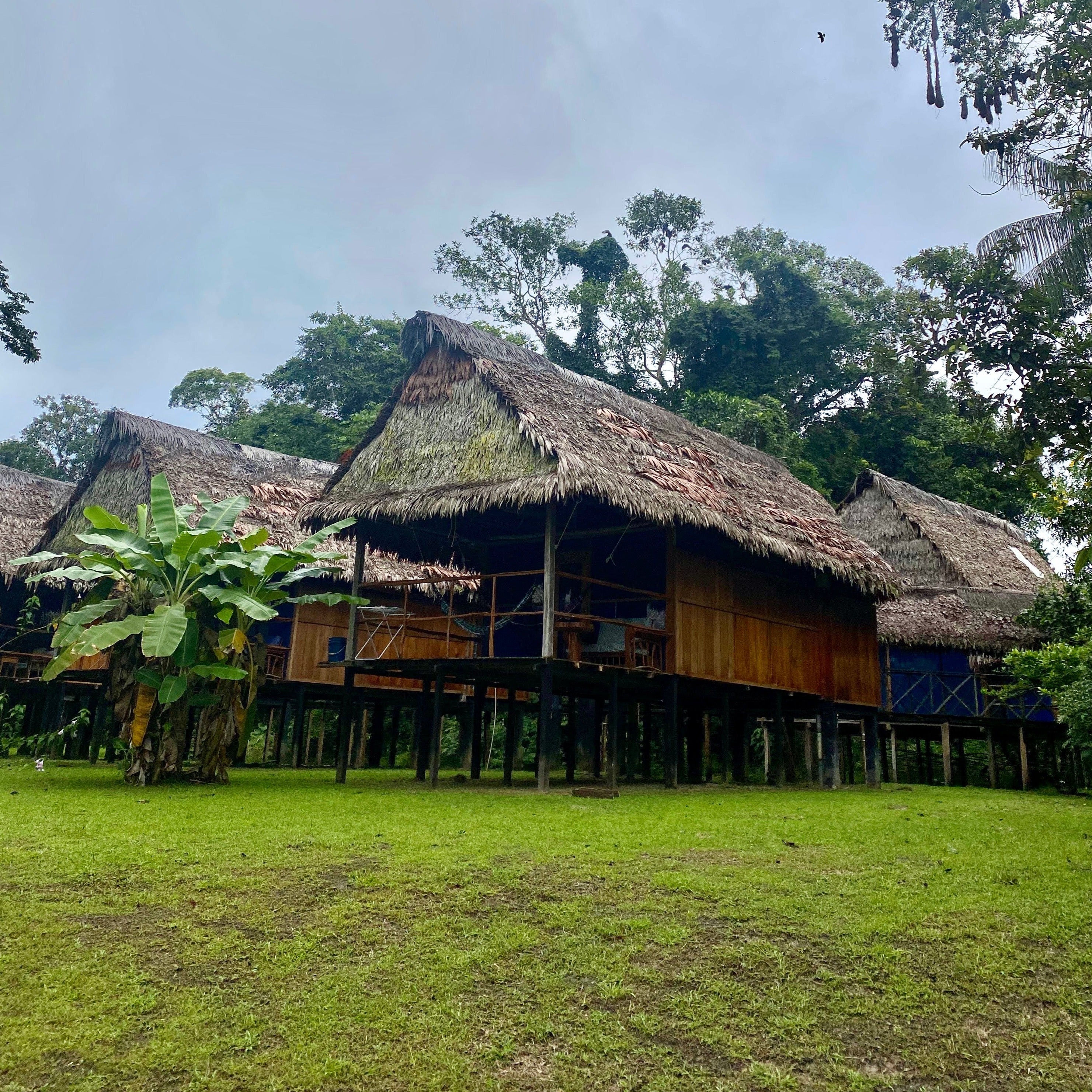 Iquitos: Amazon Jungle