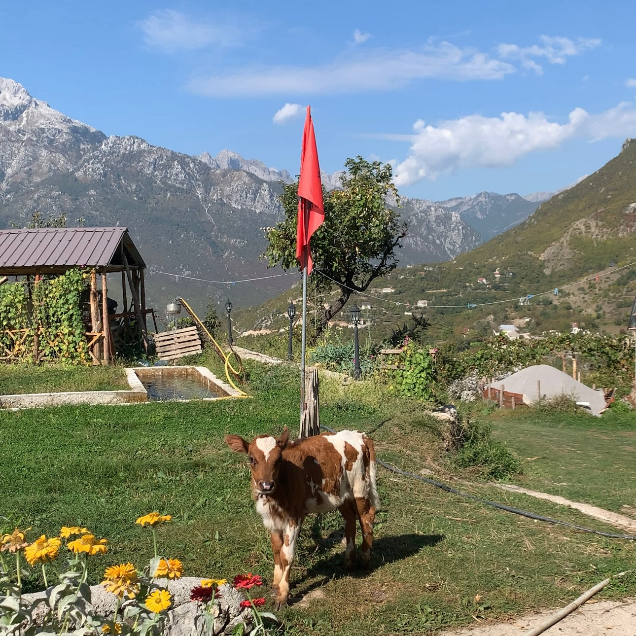 Albanian Alps Scenic Retreat