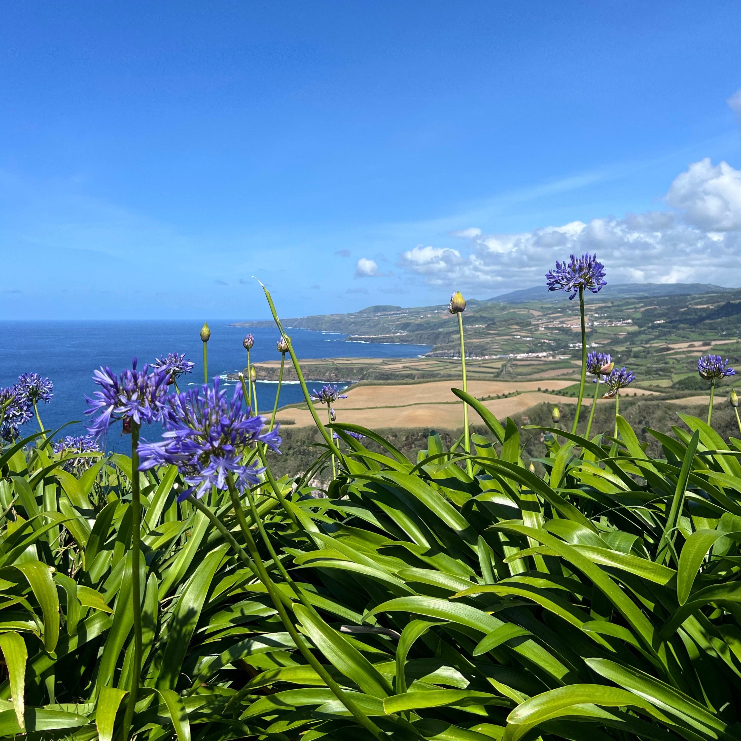 Azores: The Eco Wonderland