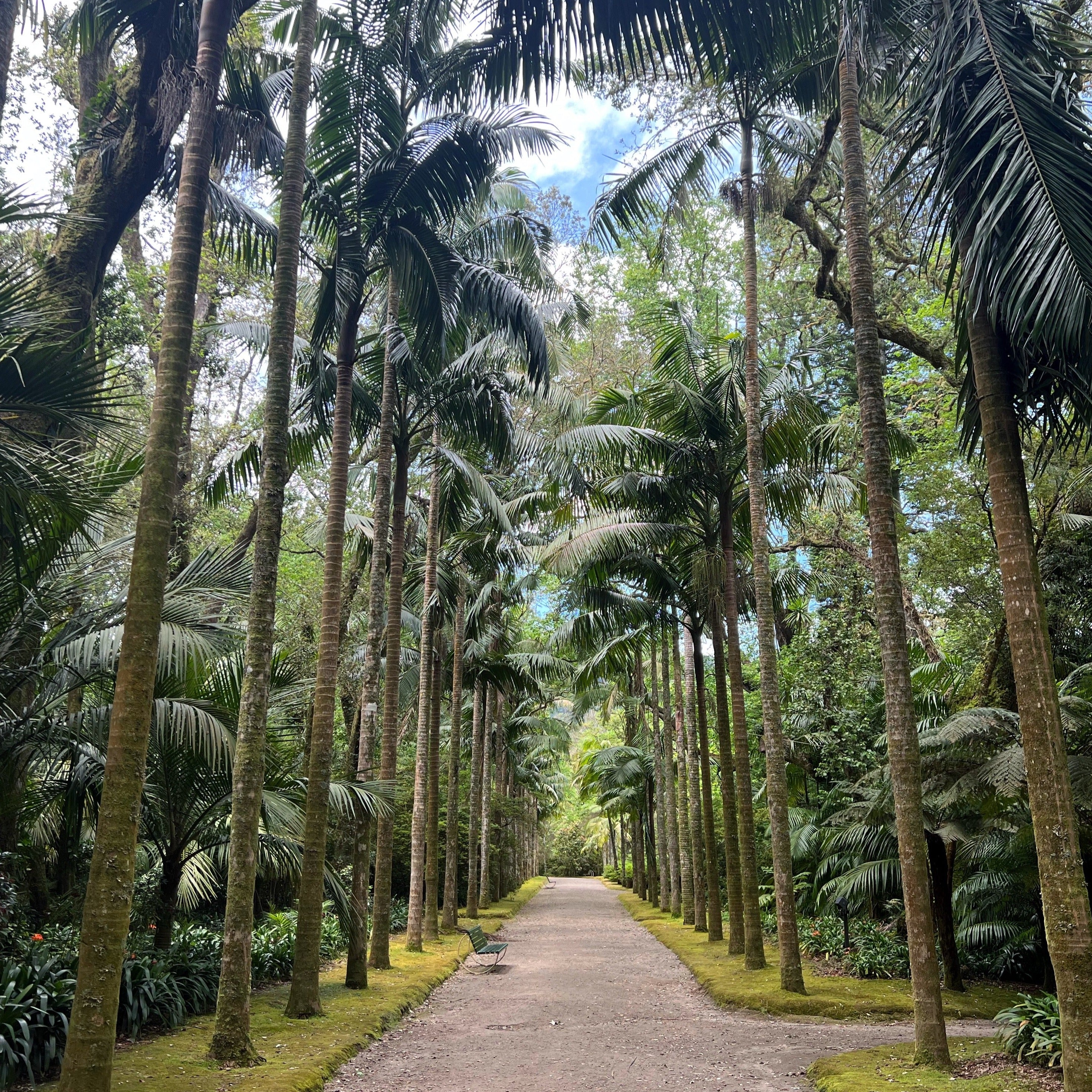 Azores: The Eco Wonderland