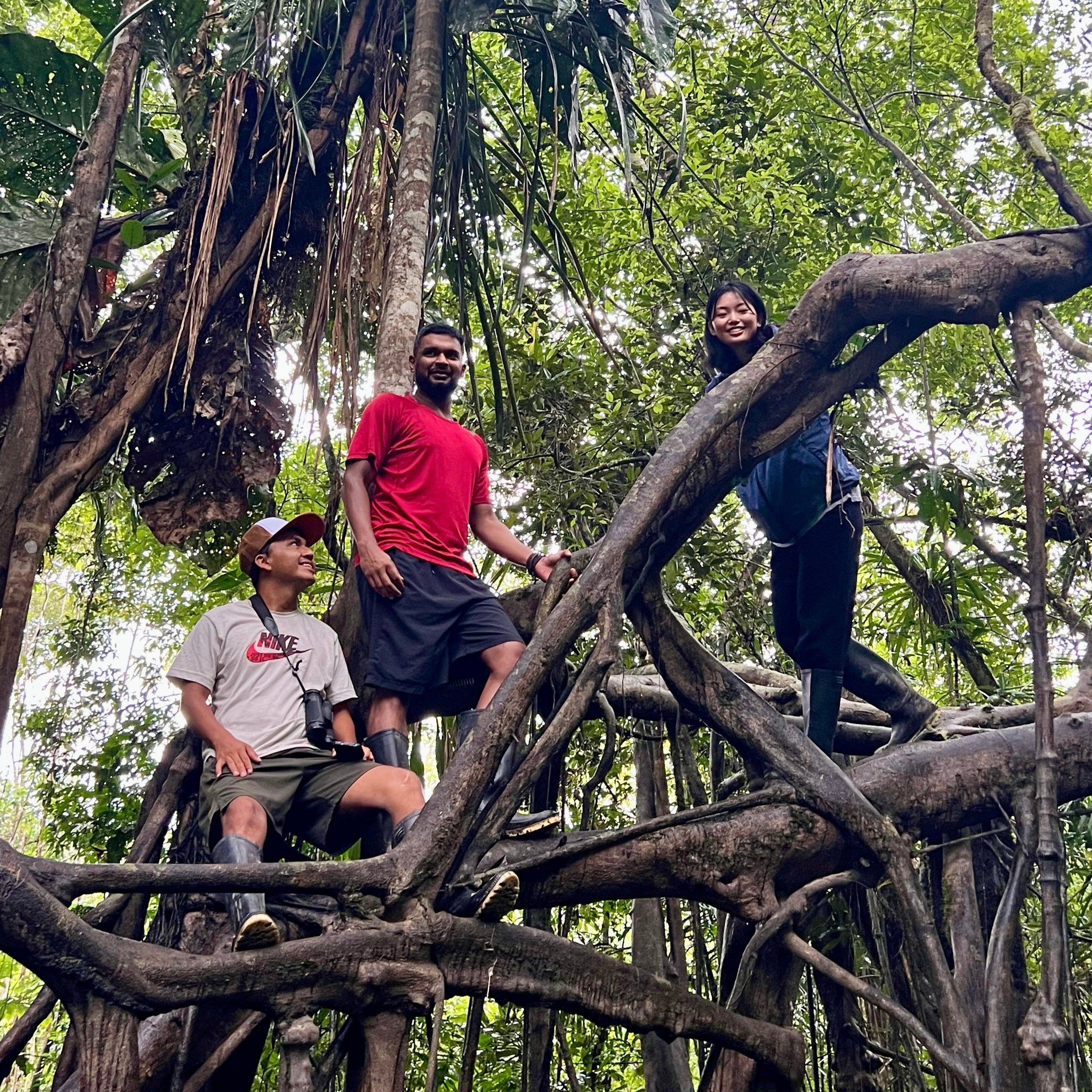 Iquitos: Amazon Jungle