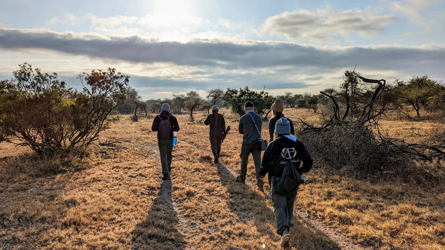 Kruger Safari Experience