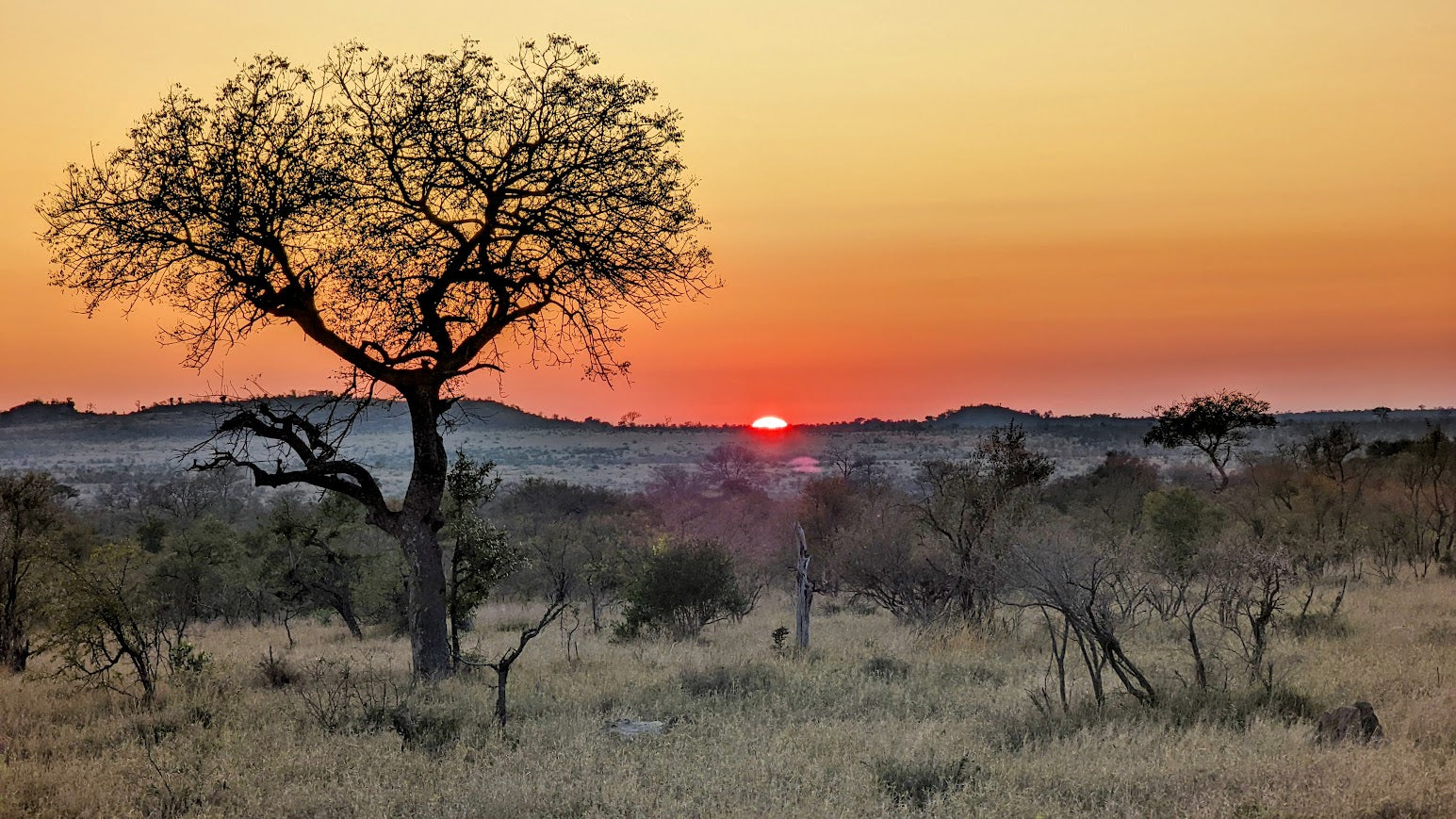 Kruger Safari Experience