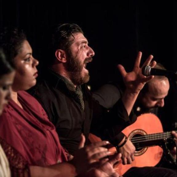 Flamenco & Dinner Show