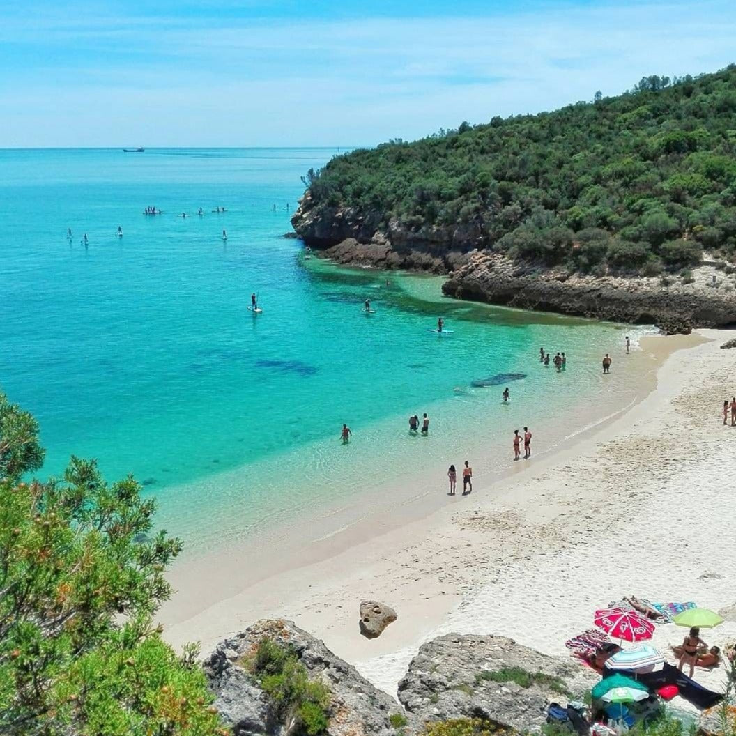 Arrábida: Discover the Beauty of Nature on a Yacht Exploration