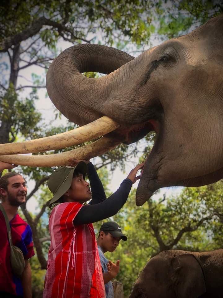 Elephant Freedom Village Day Trip