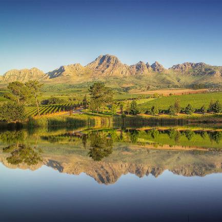 Stellenbosch Wine Tour - RY Marketplace