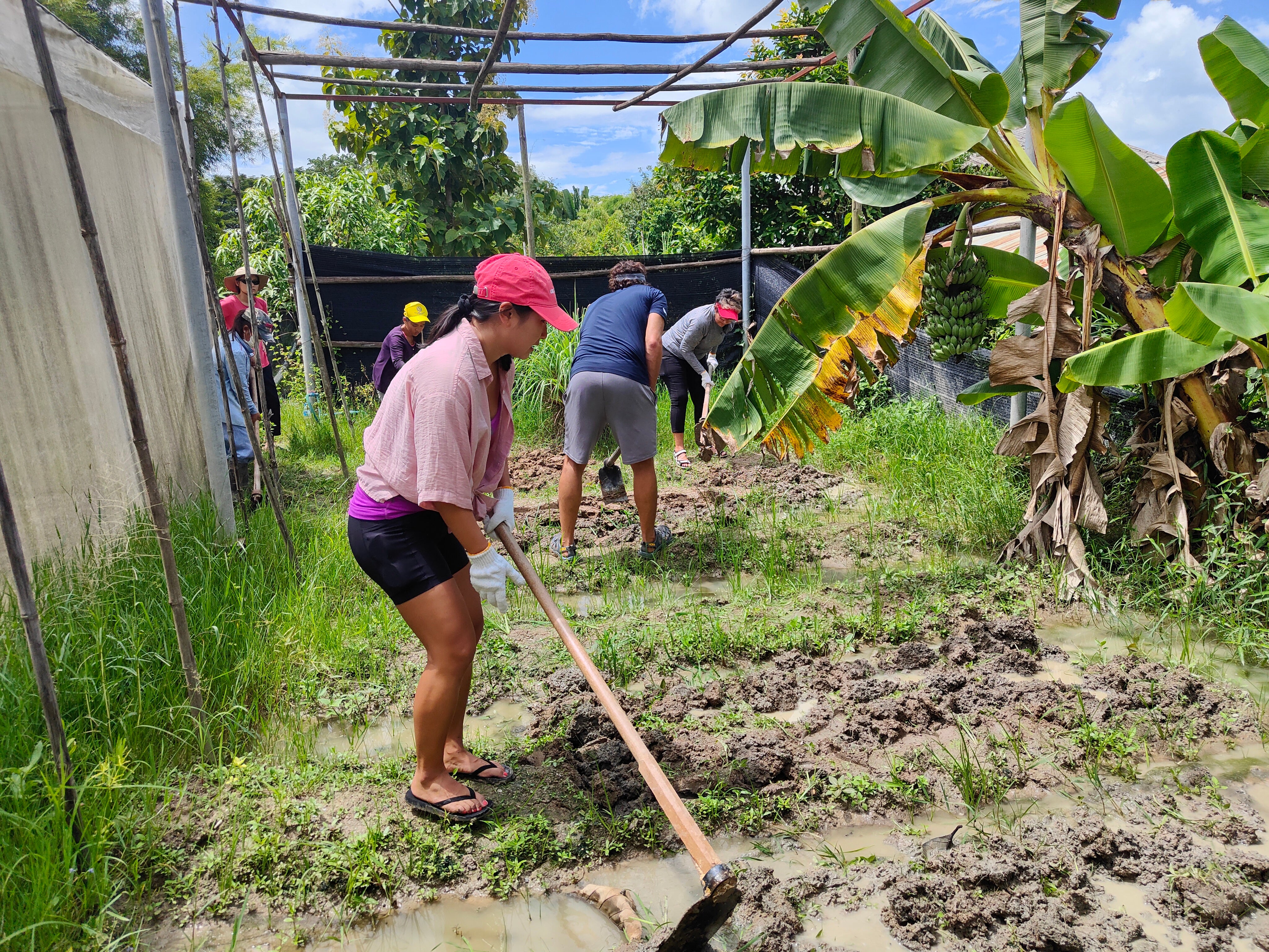 Positive Impact - Wildflower Home