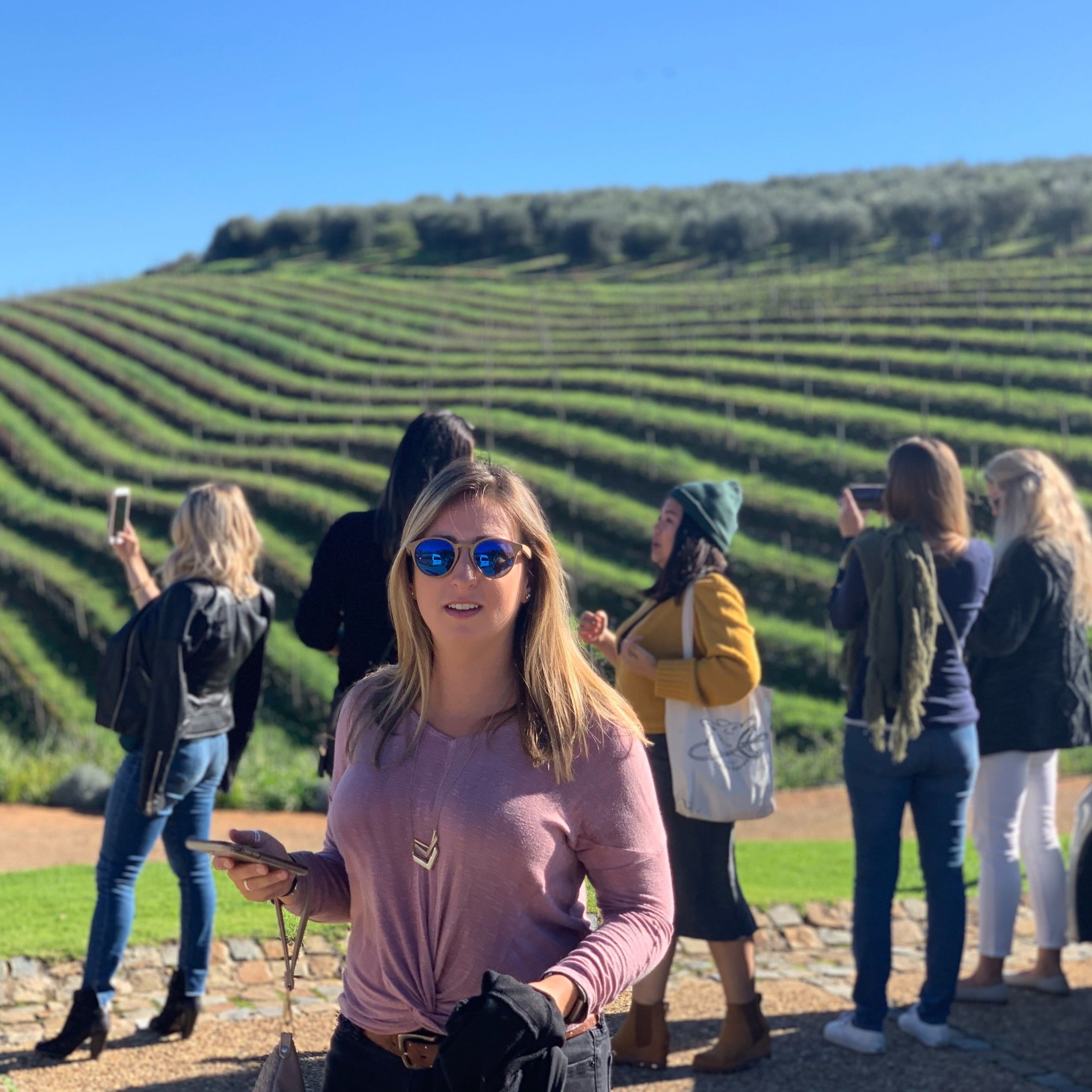 Stellenbosch Wine Tour