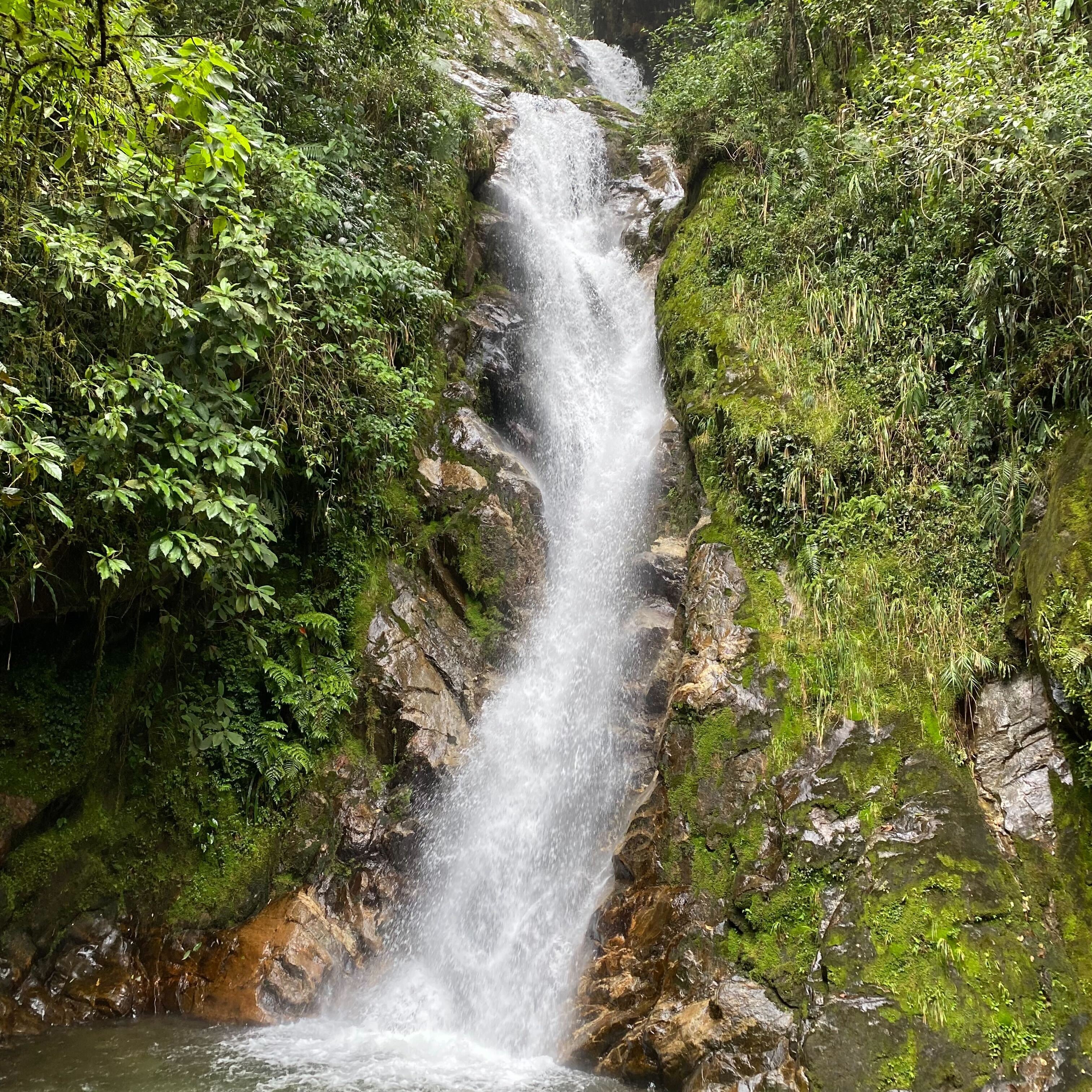 Eco-Hike: Chorro de las Campanas