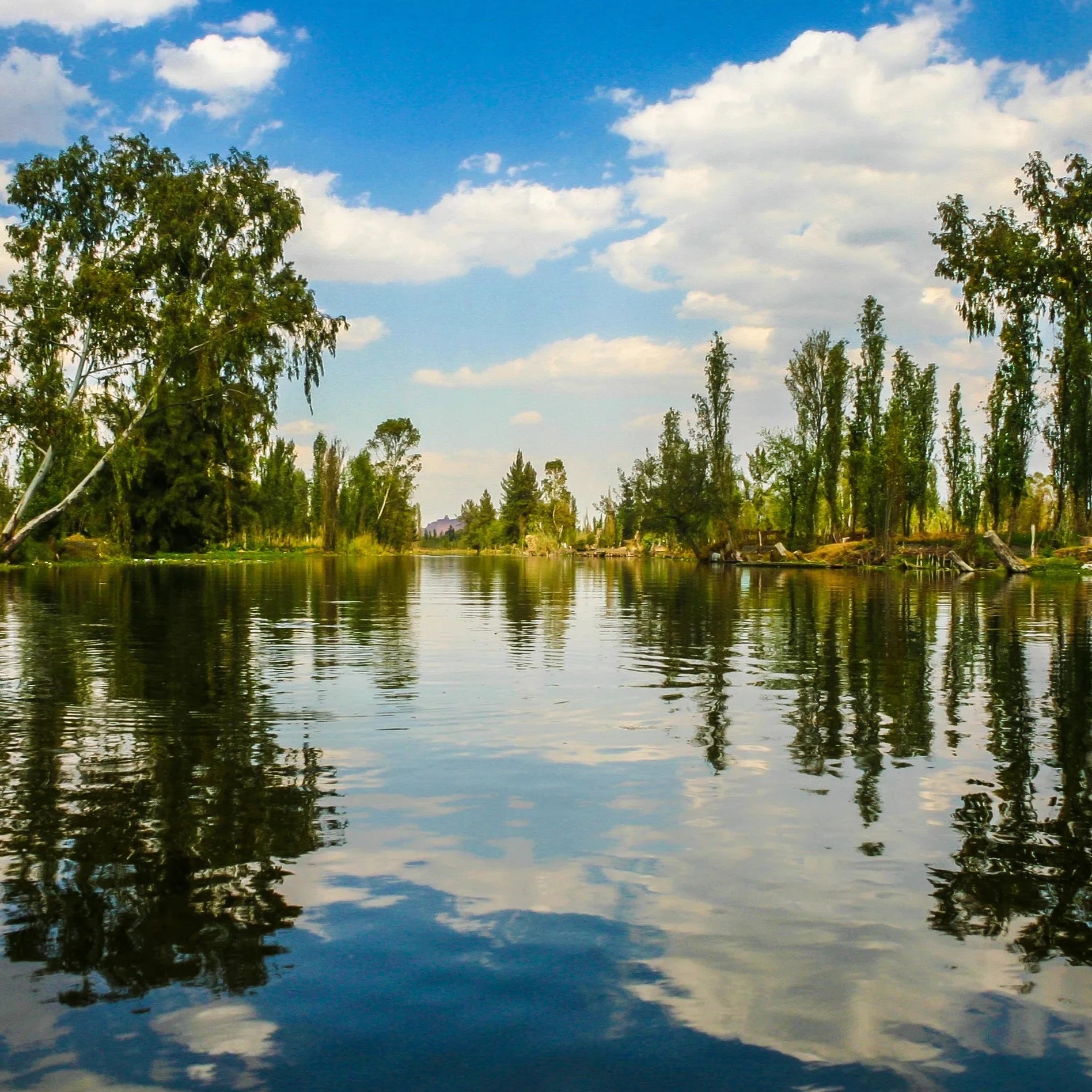 Trajineras Xochimilco