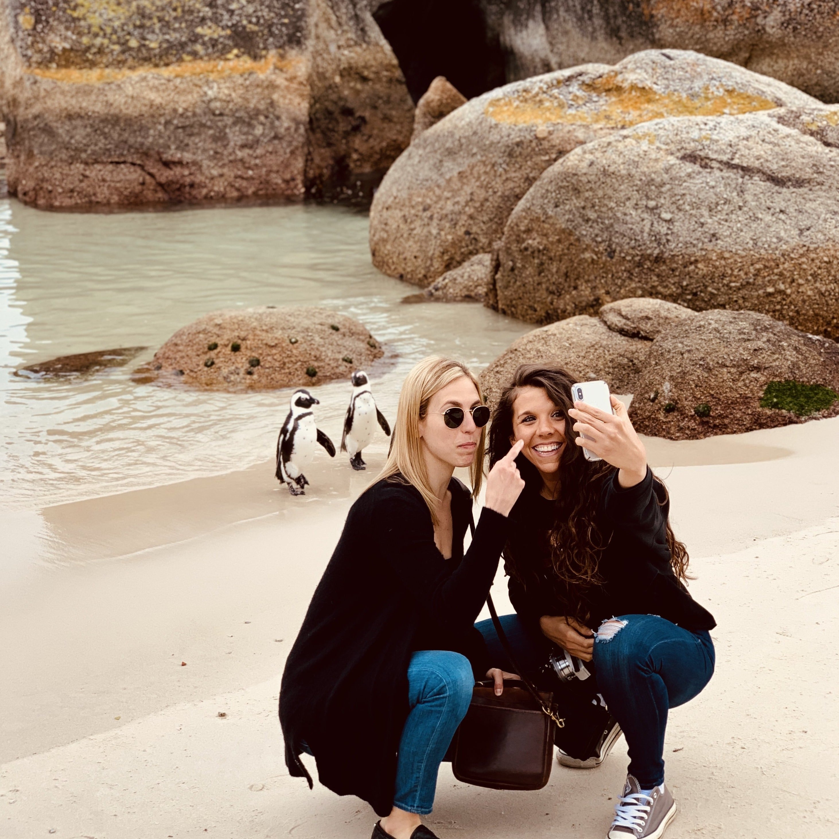 Penguins & Cape Point Day Tour