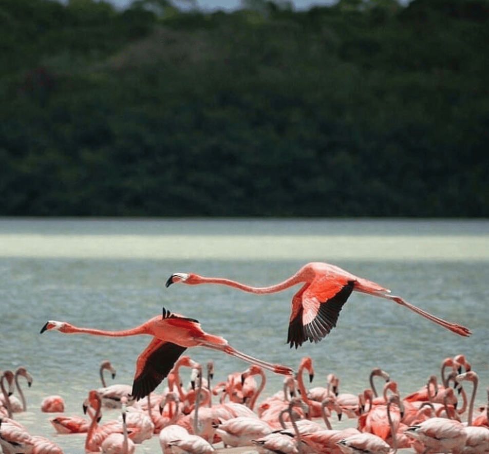 Yucatán: Mayan Adventure