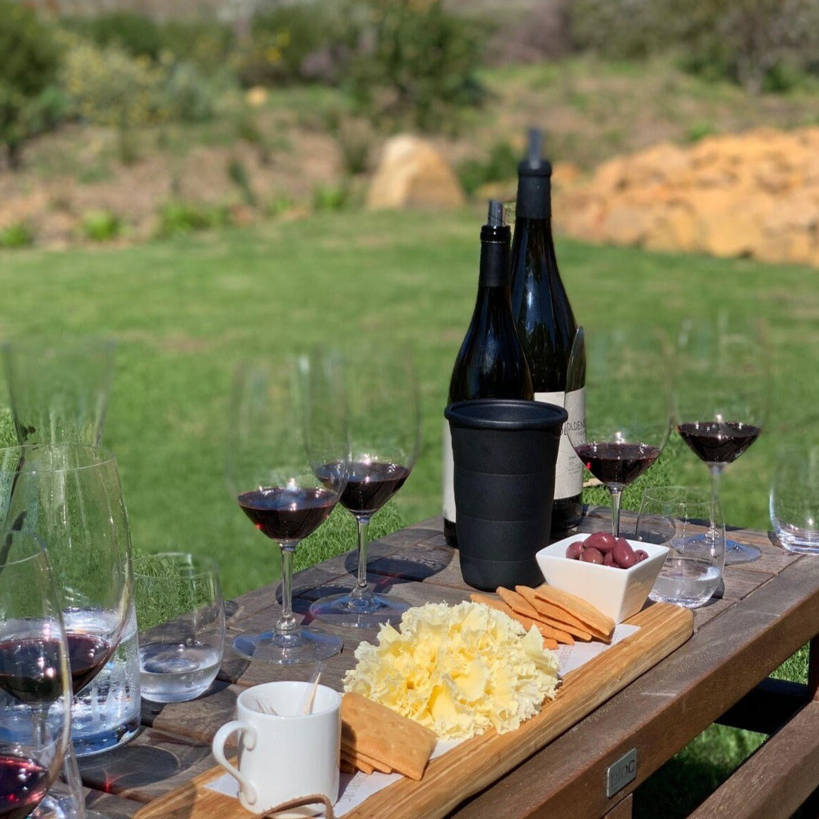 Stellenbosch Wine Tour