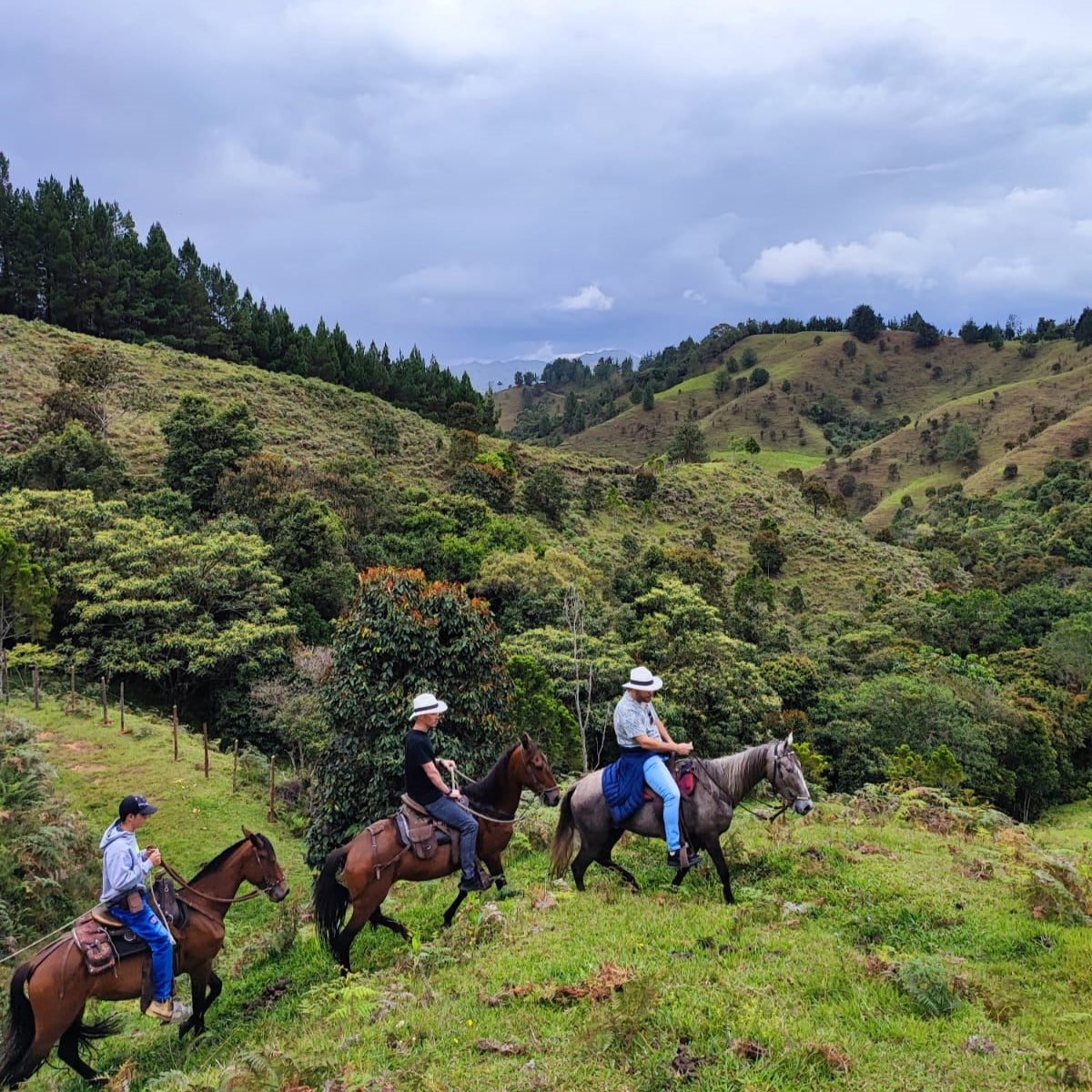 Horseback Riding