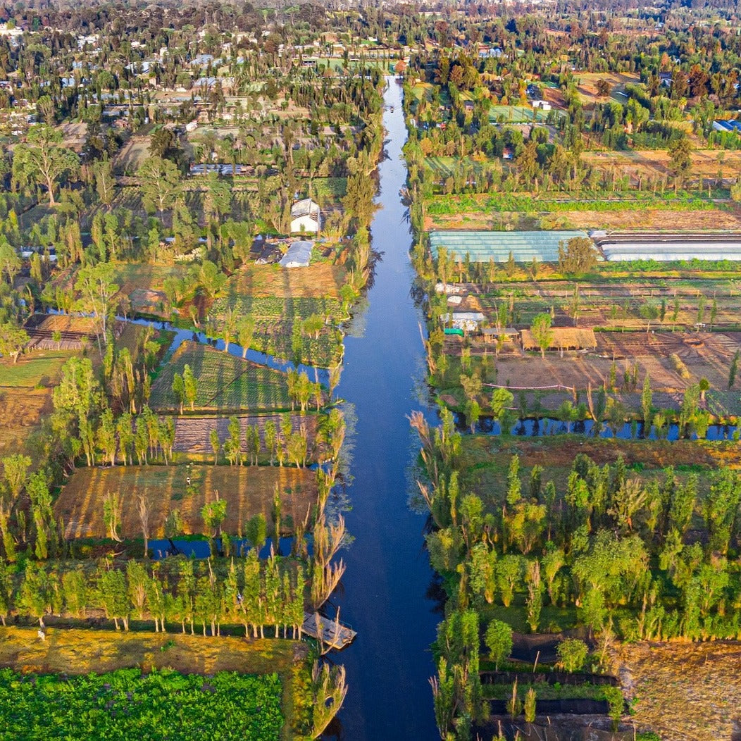 Trajineras Xochimilco