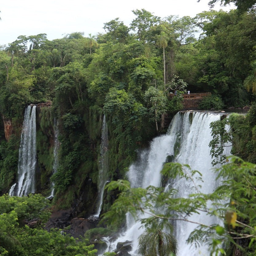 Iguazú Falls: One Of The Seven Wonders Of The World!